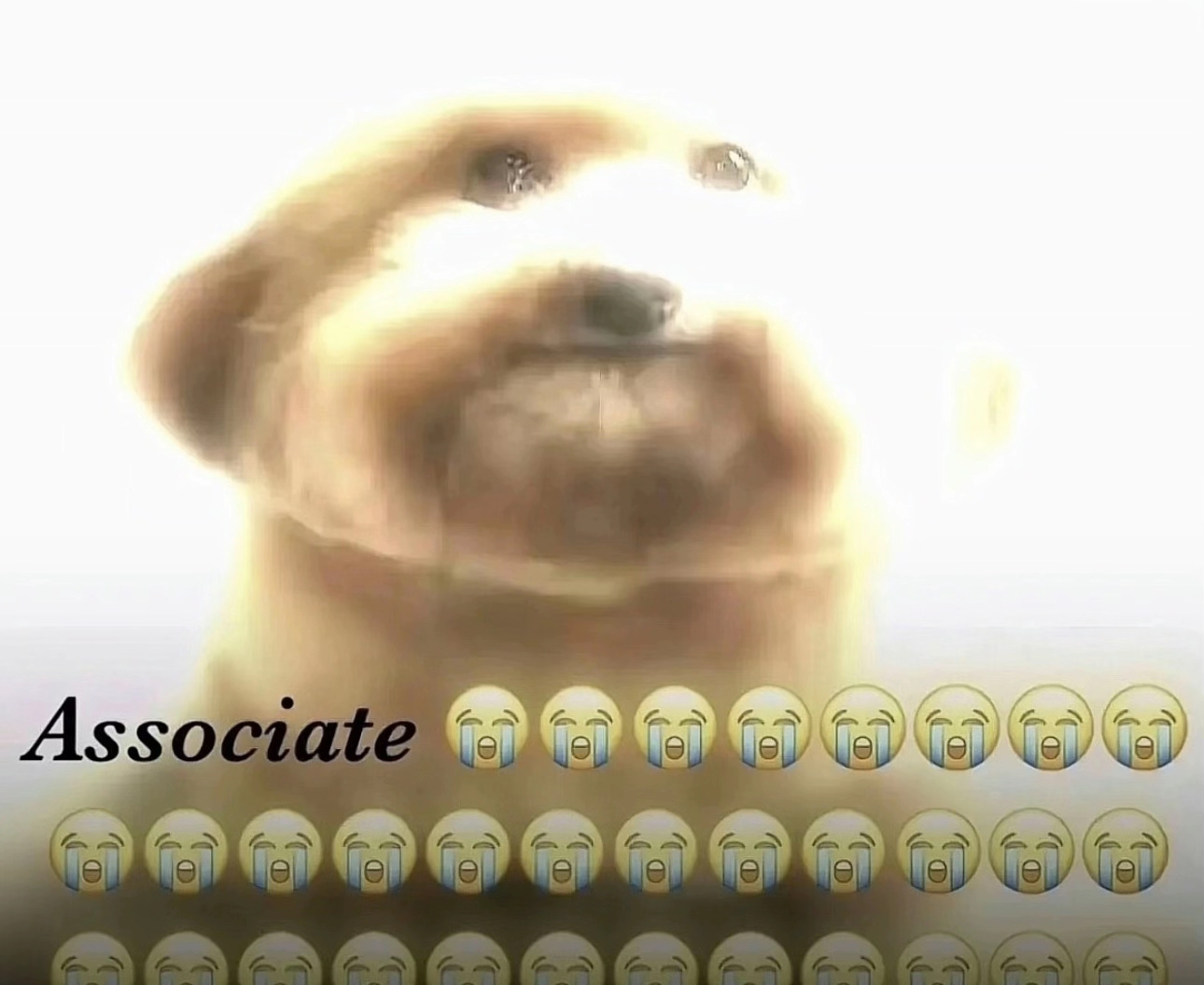 Cdf421b8f80f4cf282e0cb4cf93017d0tplv jj85edgx6n image origin