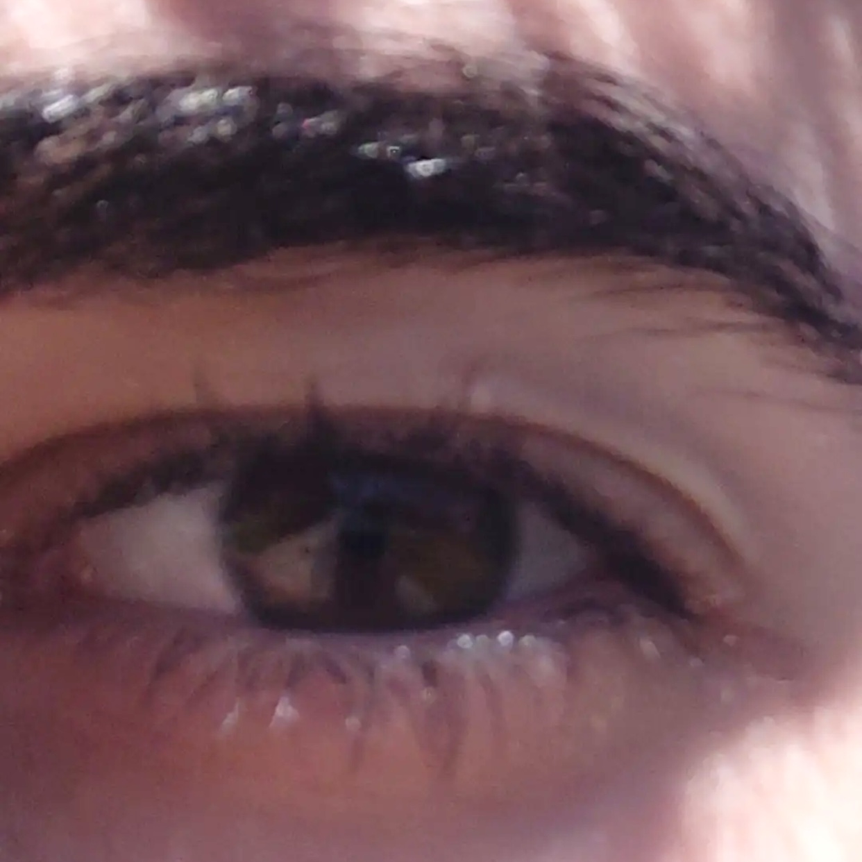 ABB13688 C80F 40E4 8FFA AD8D451CC0BA