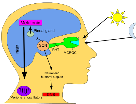 Skrmbild 2026 04 26 155920
