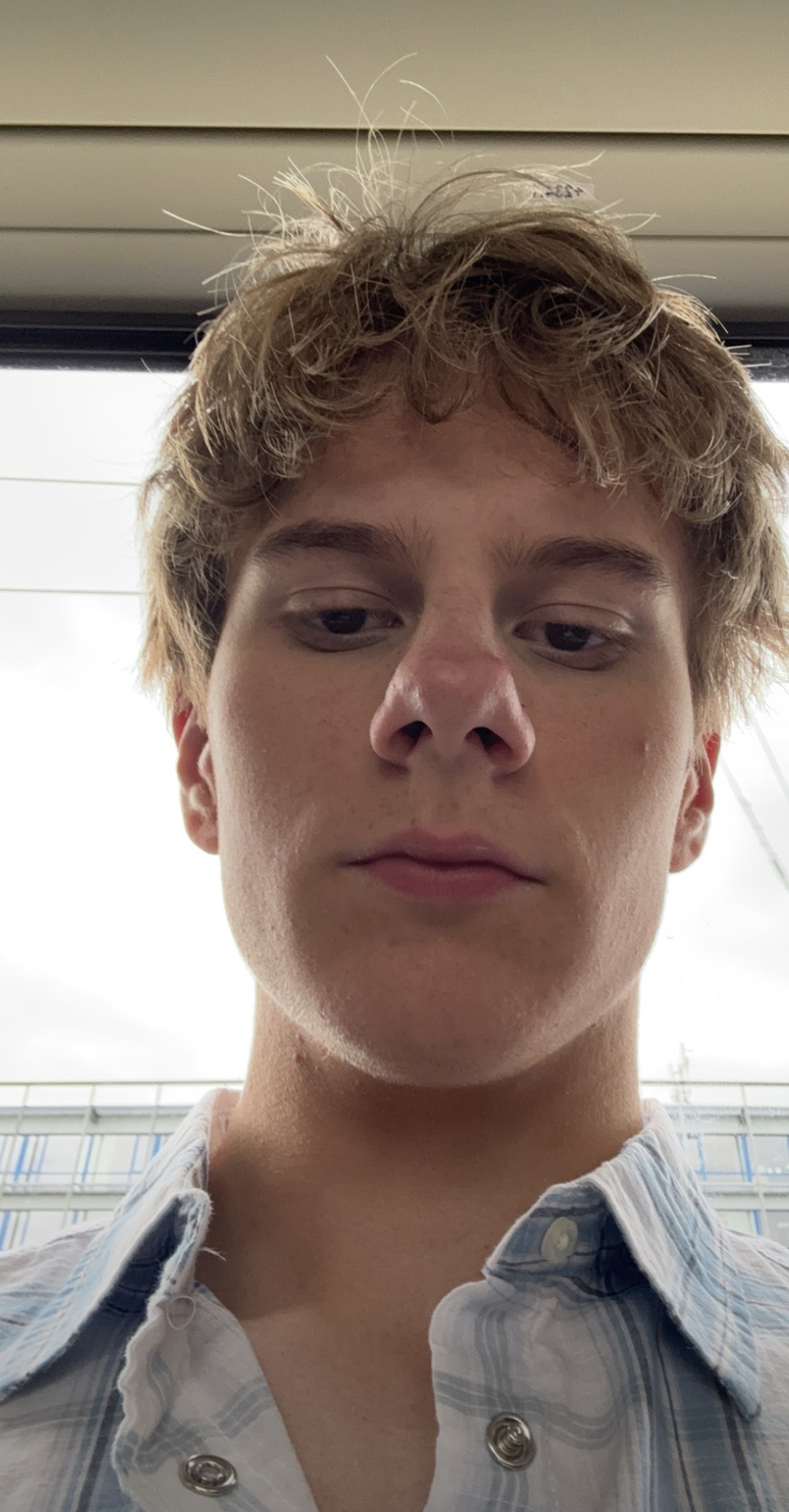 IMG 2466