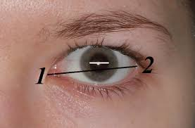 1777221950551