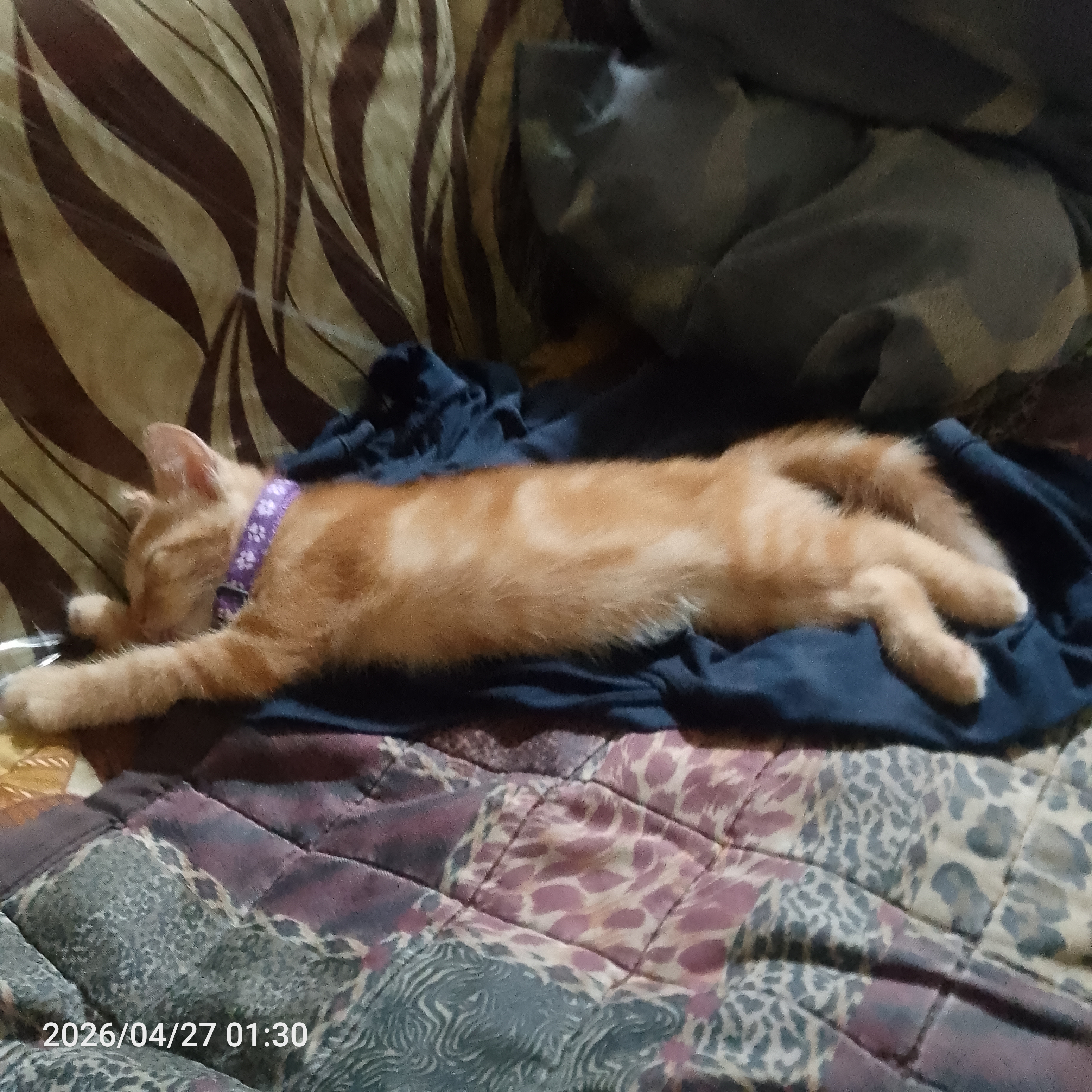 IMG 20260427 013040 232