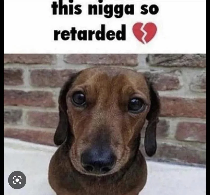 6138374 1776204512495