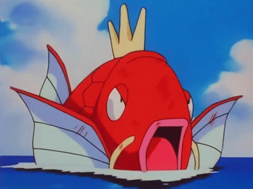Magikarp pokmon magikarp