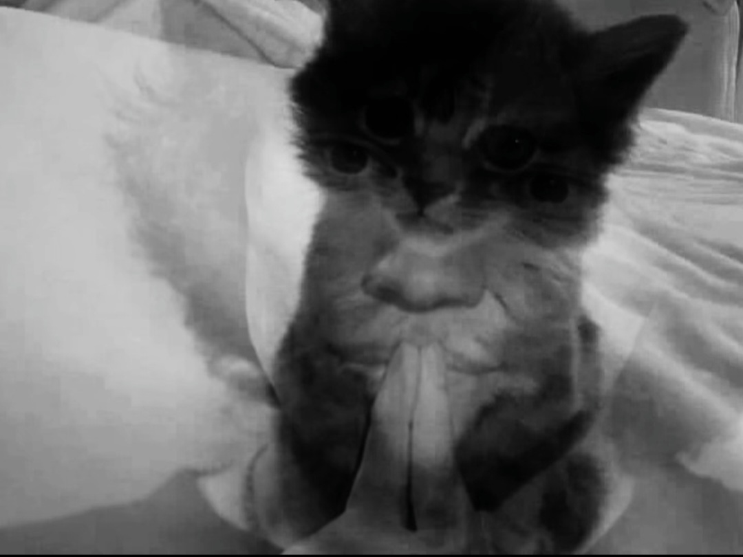 Screenshot 20260426 182925 Gallery