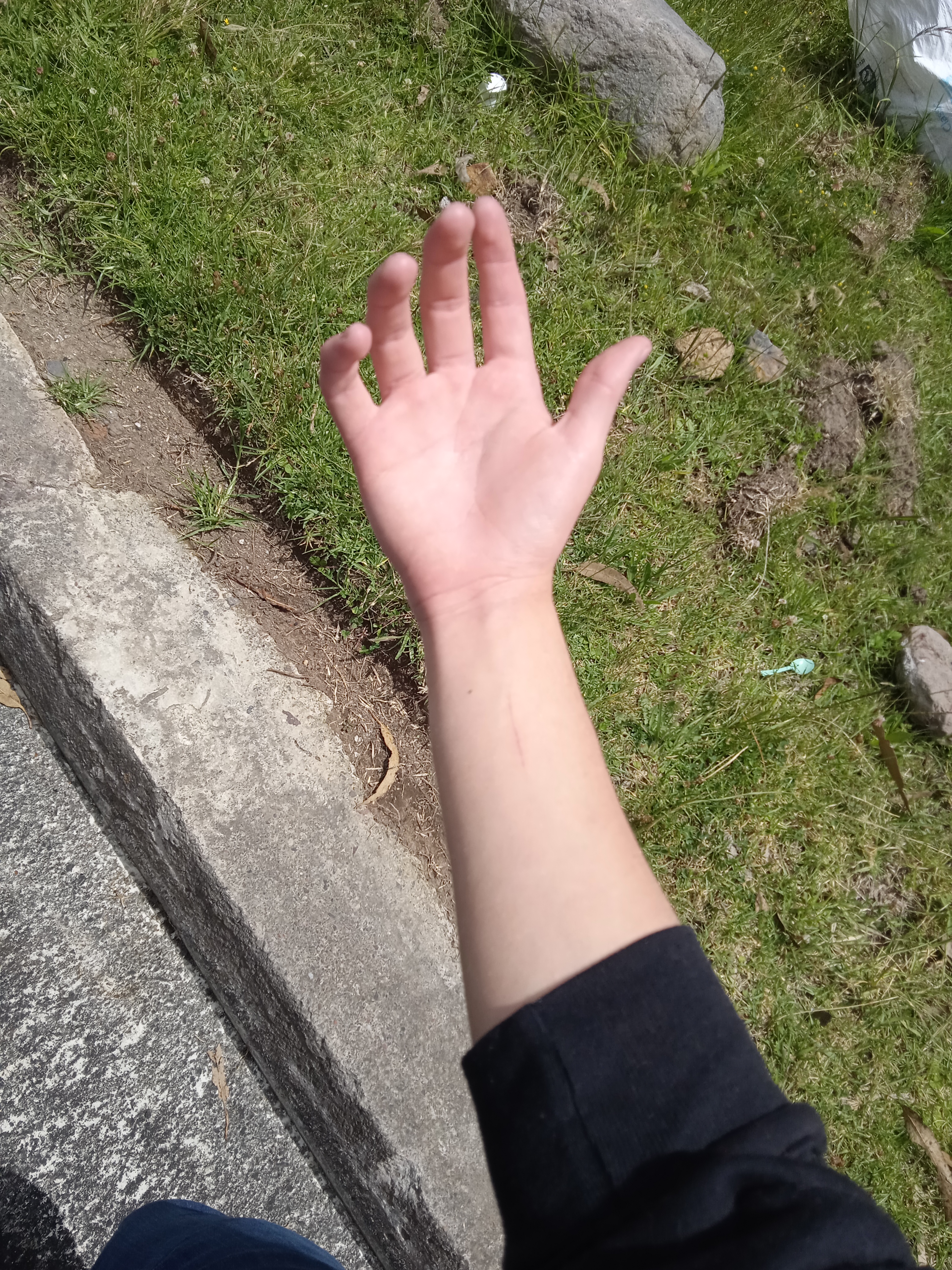 IMG 20260426 113838 2