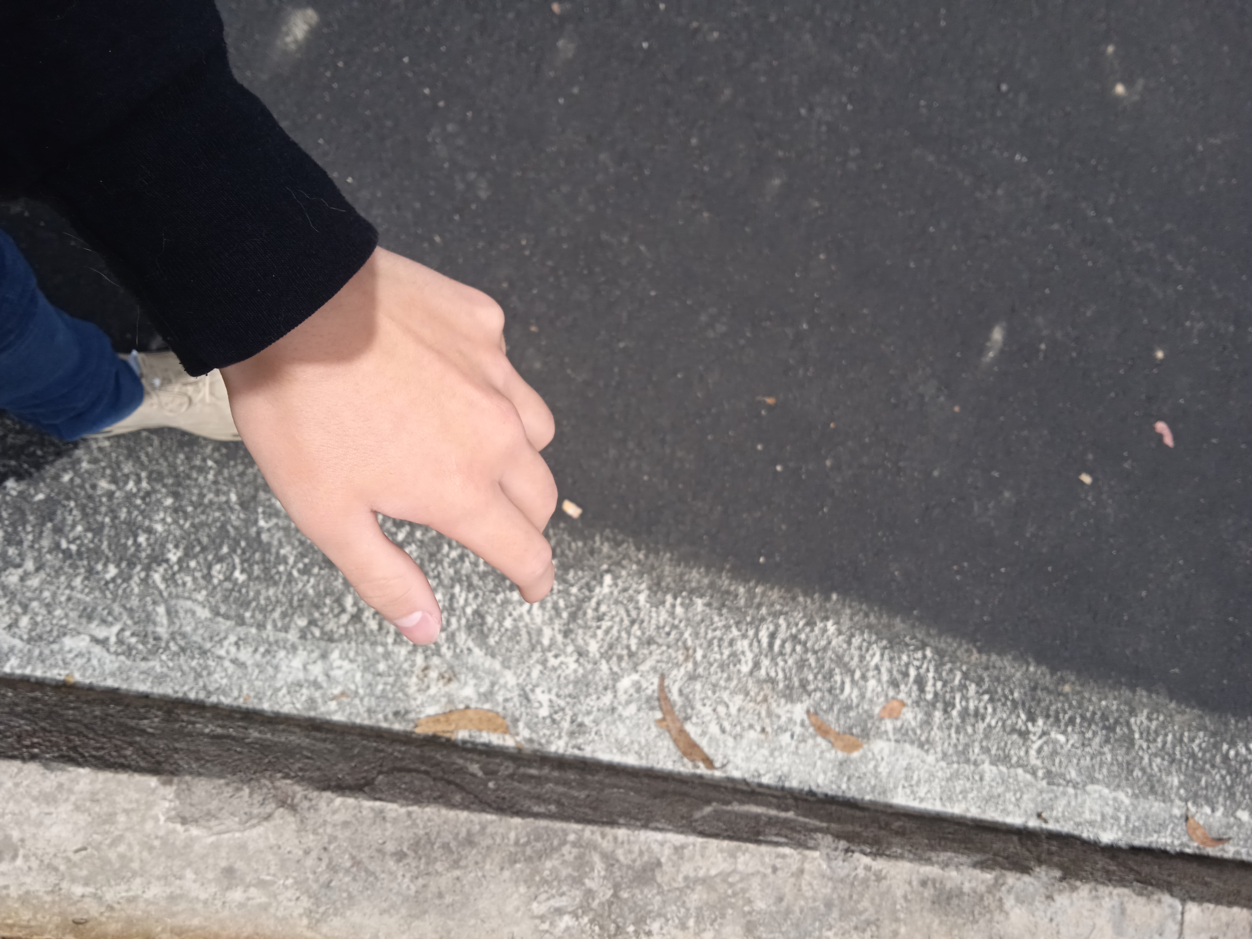 IMG 20260426 113846 1