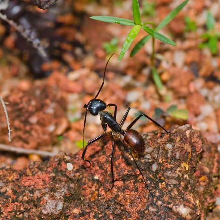 29b2850492d8aa186c2becc05820b298