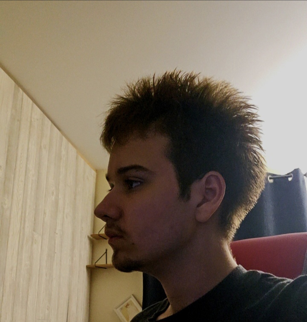 1000031667