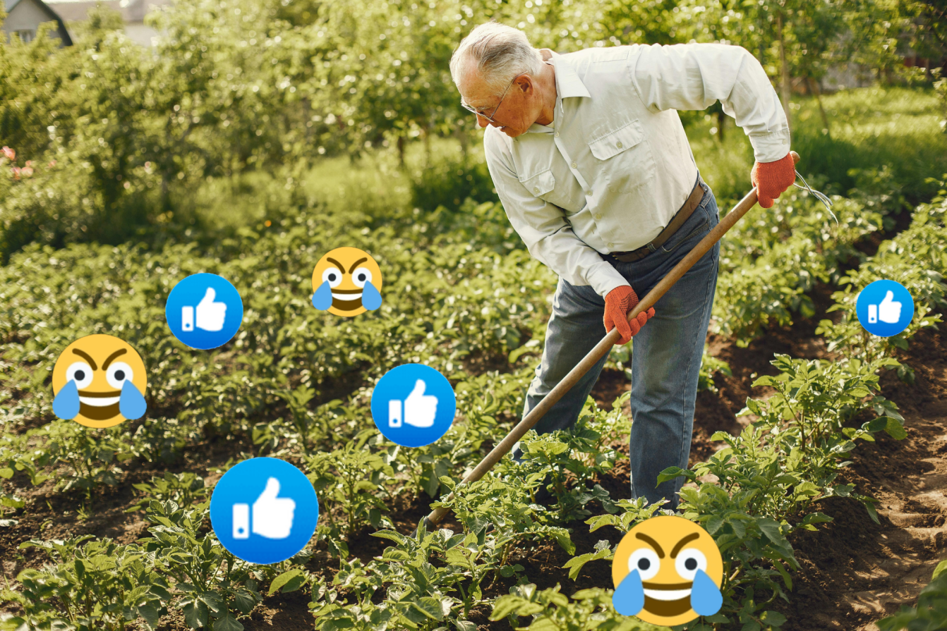 6185442 6165919 repfarm