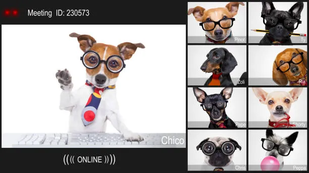 532299446 669459226166415 6160952600570477064 n