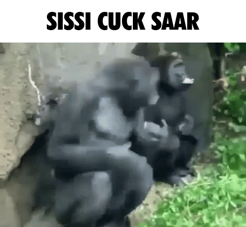 Sissycucksaar