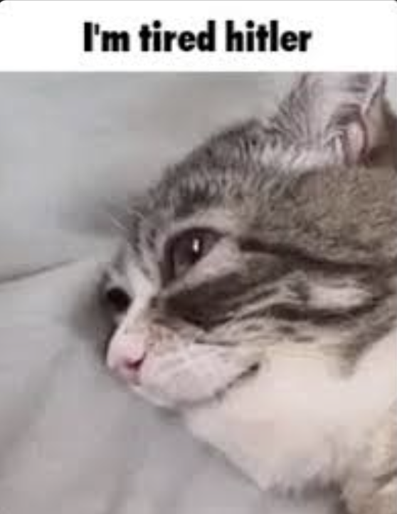 Screenshot 2026 04 26 at 224612