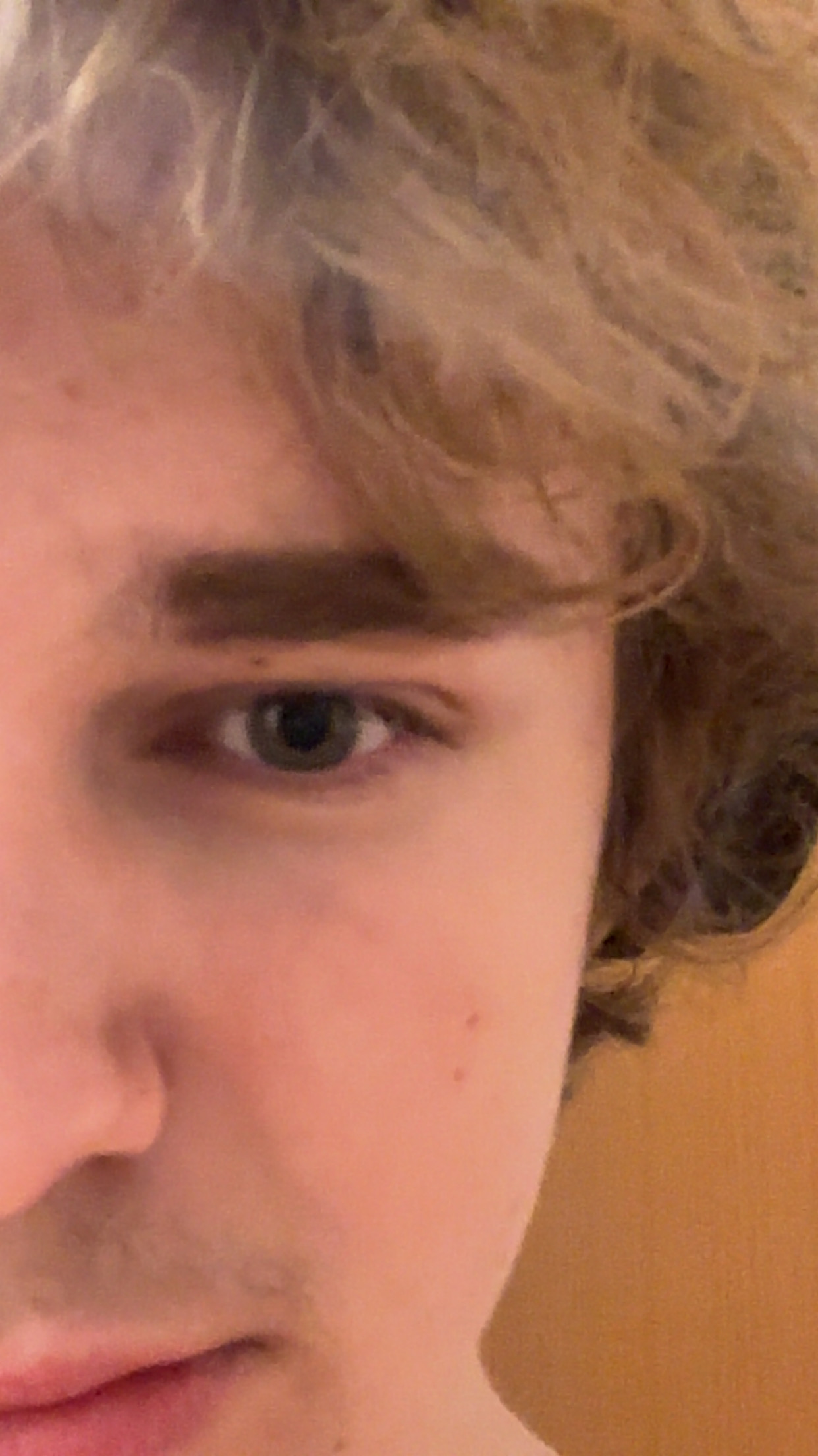 IMG 3337