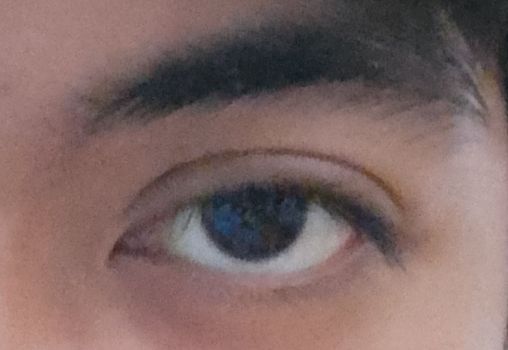 IMG 20260429 202341 HDR2