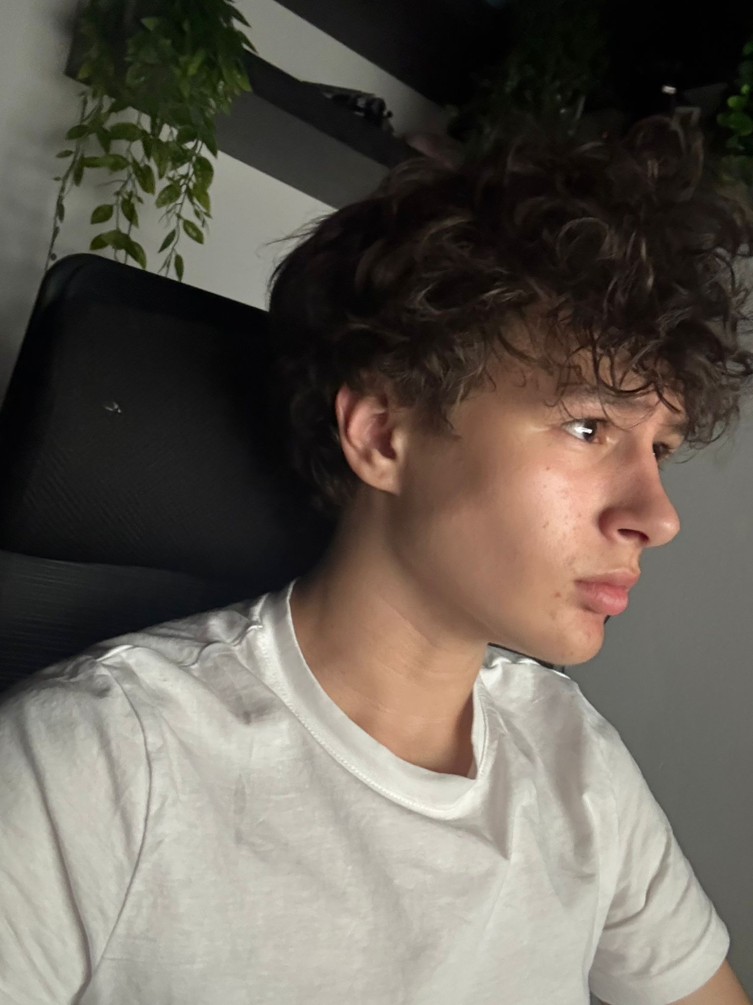 WhatsApp Image 2026 04 29 at 210929