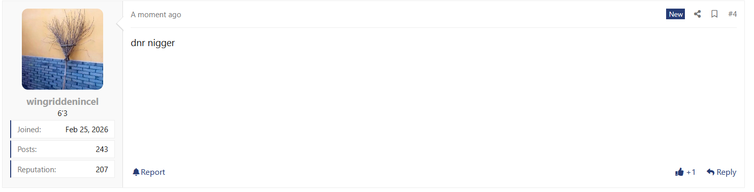 Screenshot 2026 04 29 232823