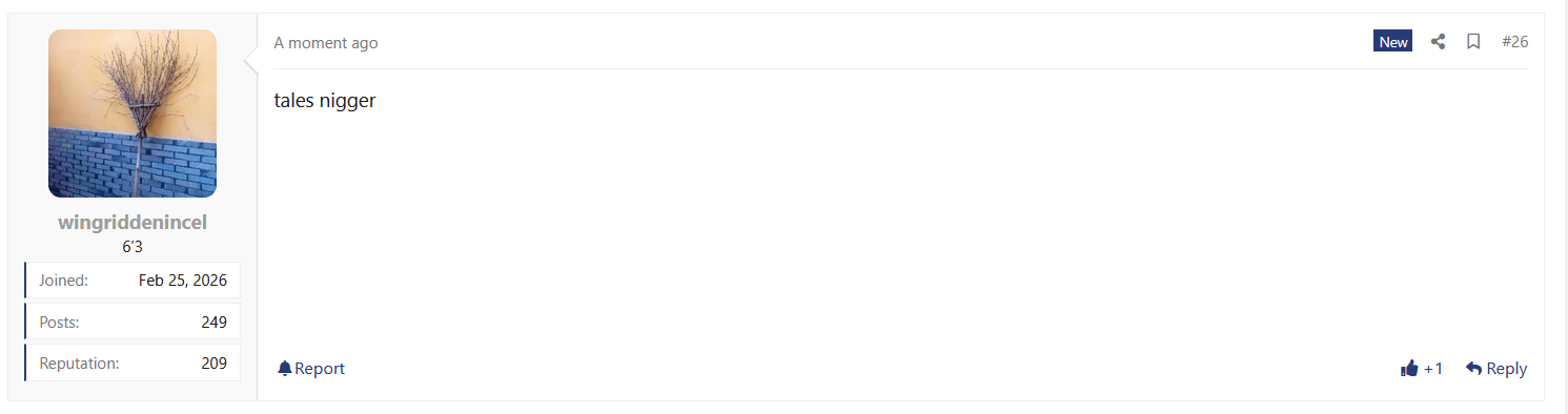 Screenshot 2026 04 29 233038