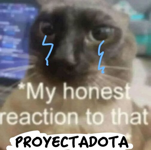 PROYECTADOTA.jpeg