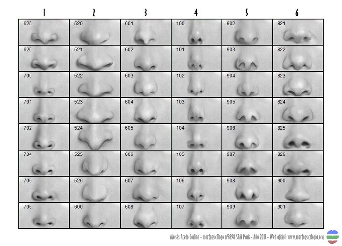 RECEPTOR EMOCIONAL NARIZ MOISÉS ACEDO CODINA MORFOPSICOLOGÍA MORPHOPSYCHOLOGIE MORPHOPSYCHOLOG...jpg