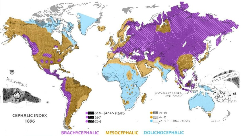 RDT 20260406 1521082383208516824218236