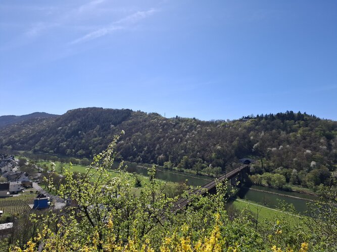 20260407_122621.jpg