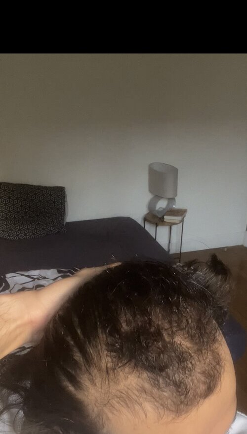 IMG 3600