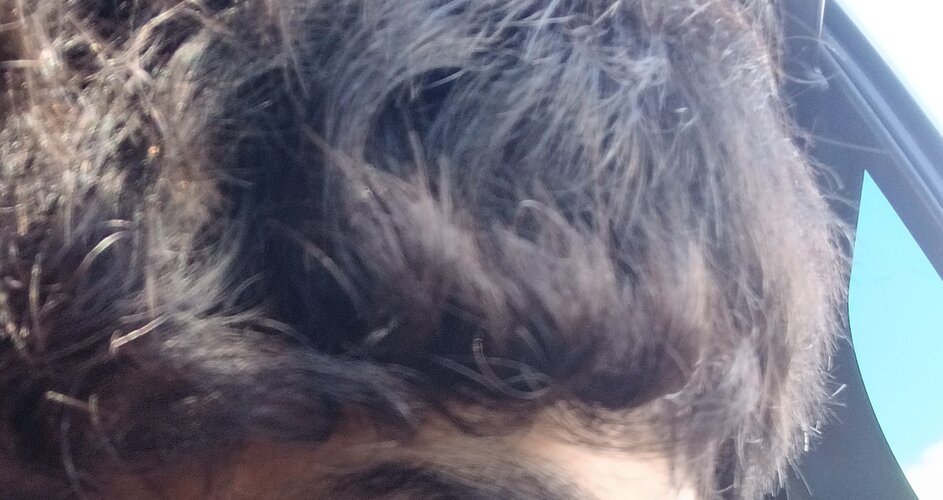 20260411_101122.jpg