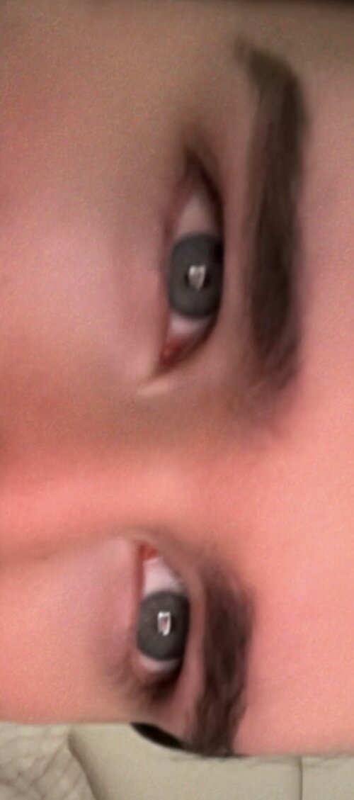 IMG_6367.jpeg