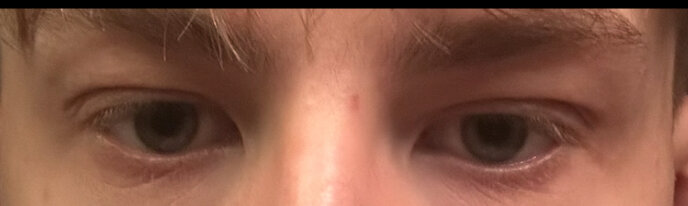 IMG_6517.jpeg