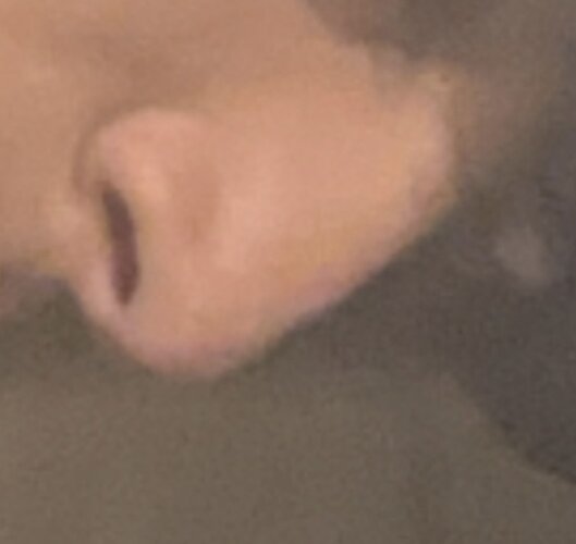 IMG_5892.jpeg