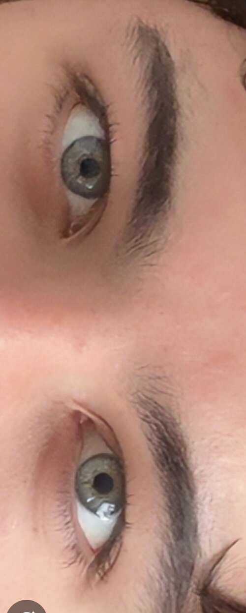 IMG_4655.jpeg