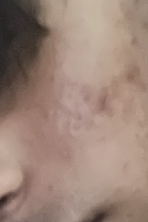 IMG 3730