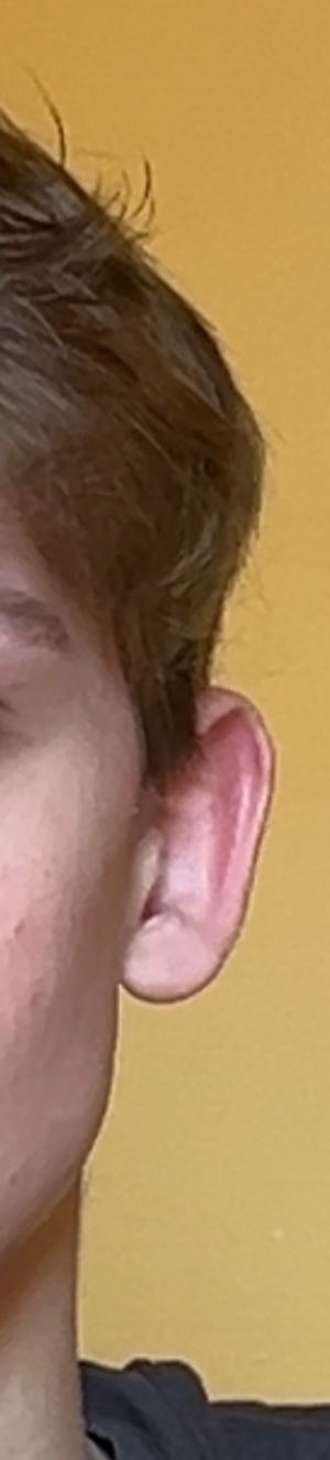 IMG_1520.png