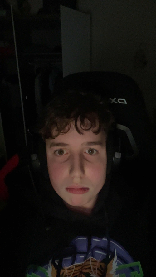 FabiLooksmax.png
