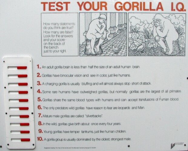 5322599 1757513108648