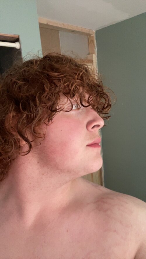 IMG 1729