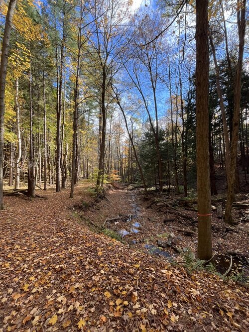 7D225990 D442 4D2B 9DEA B1F207A62935 1 105 c