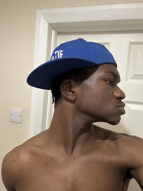 speedy's side profile 1.jpg