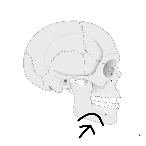 Screenshot 2026-04-26 11.31.16 PM.png