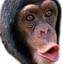 Ape.png