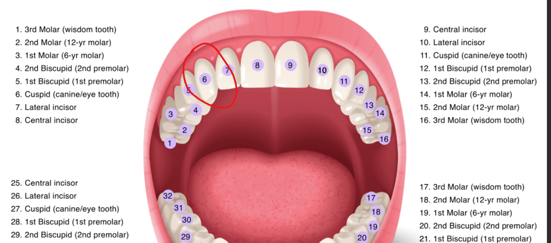 Screenshot 2026-04-28 194554.png