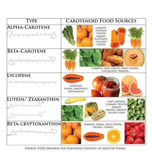 Carotenoids in food 1024x1024