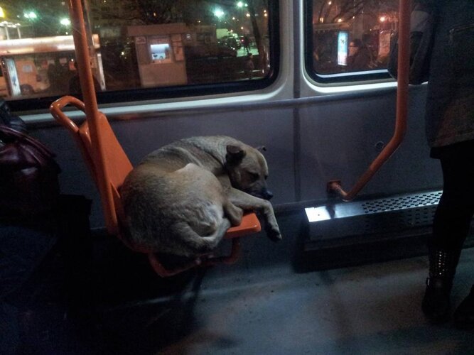 5bcac50040df98cb0db31ec527e53f31