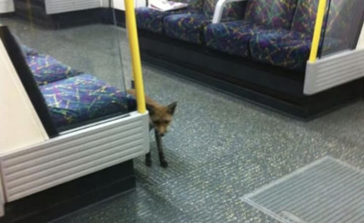 29aba5860f1bfef4e8615384dd5885eb