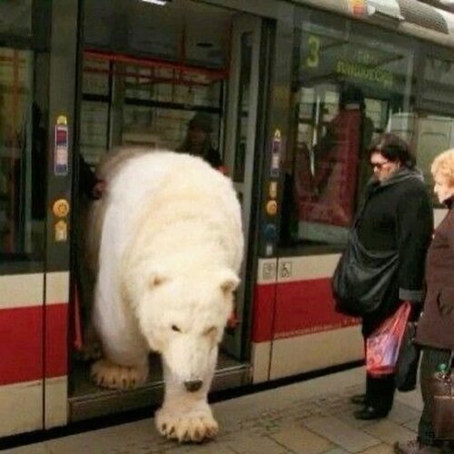 89bc9c9f91349c9d73edbe17ea6868d8