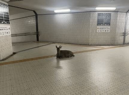 Ad581e375e7530bcbec61be10f8beafa