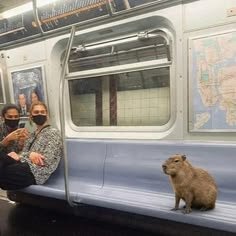 Dc3c76b041e04c80921886ca5c548249