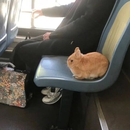 E03a517a6bd73d4ec2b283cfac4439c6