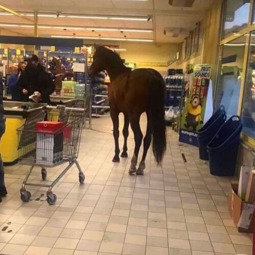 Fdab94b161c650ffc28027fadab3b4e6